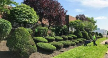 What’s Included in Commercial Landscaping Services?